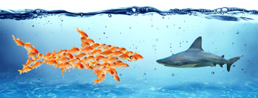 Graphic of a shark facing a group of goldfish forming the shape of a shark underwater